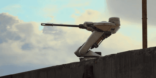 Sentinel