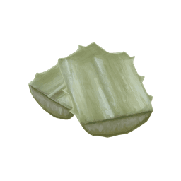 Agave