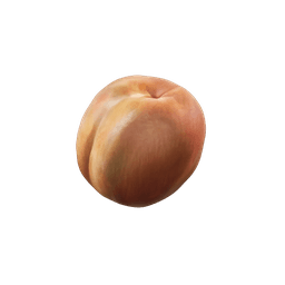 Apricot