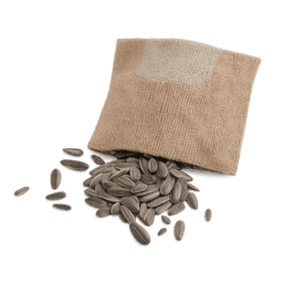 Assorted Seeds