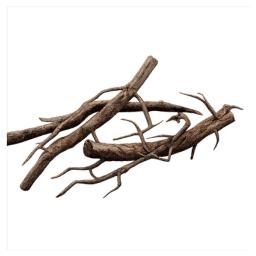 Roots