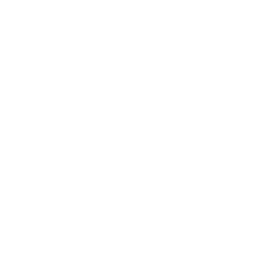 Bird City